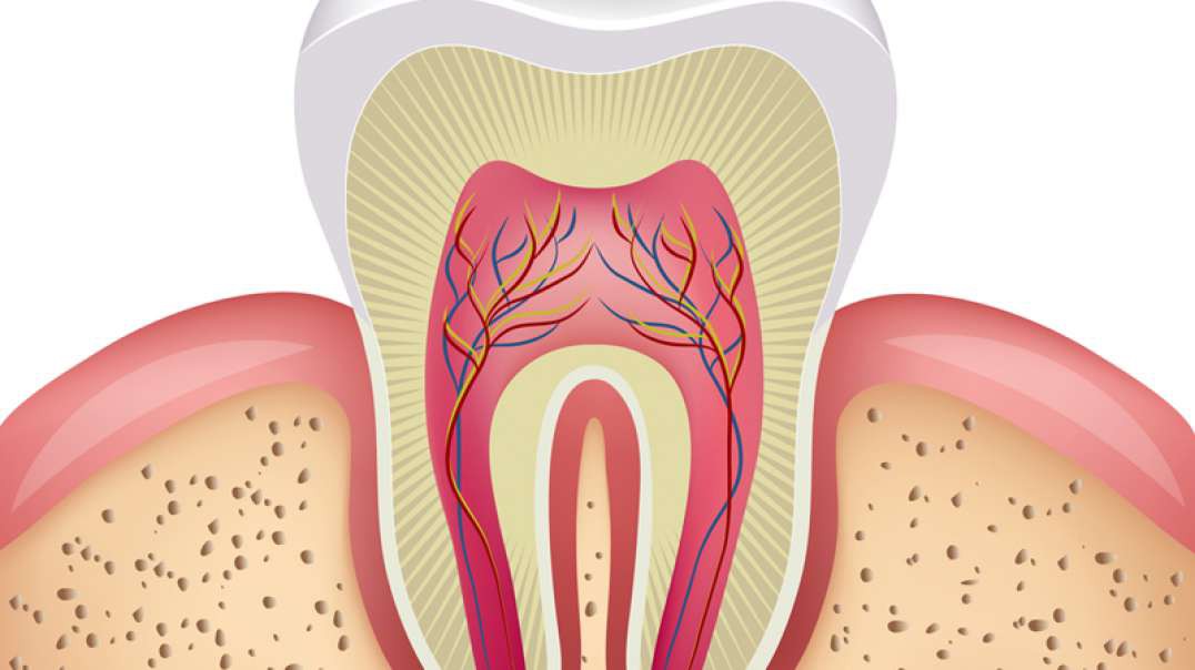 Florida Dental Care of Miller : Root Canal in Miami, FL | 305-596-0104