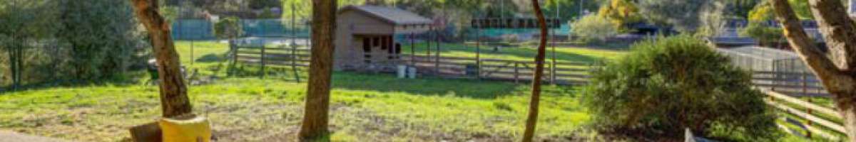 Heartwood House Detox 